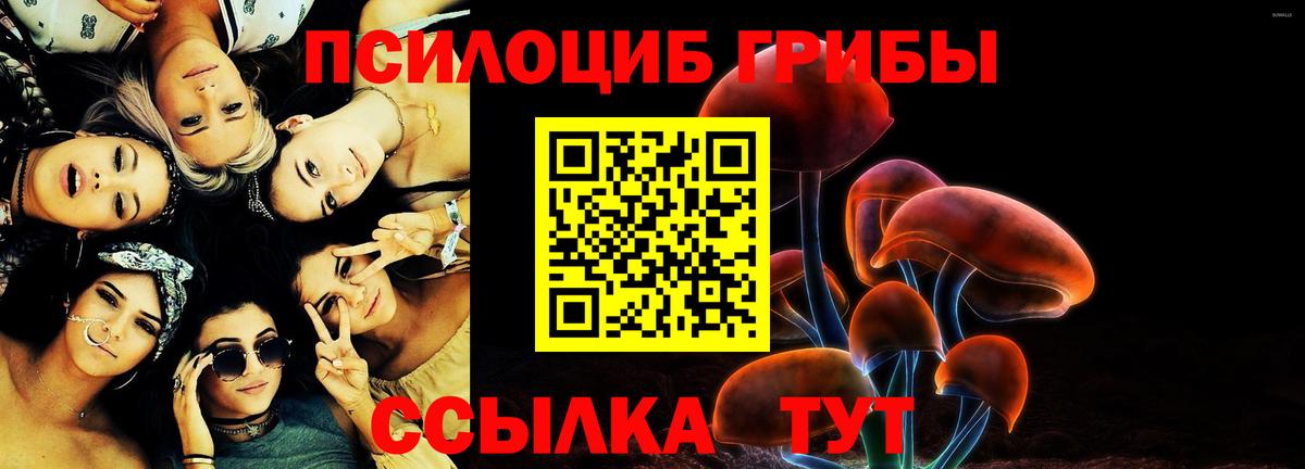 Псилоцибиновые грибы GOLDEN TEACHER Орехово-Зуево